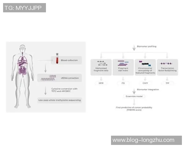 数据分析揭示成都篮球队在比赛中的团队协作表现及其影响因素探讨